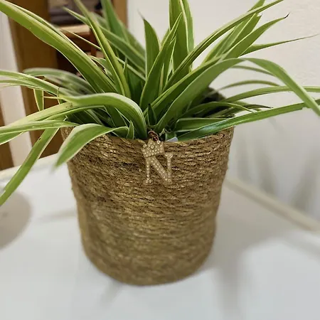 Appartamento Nikaia 1 Tirana