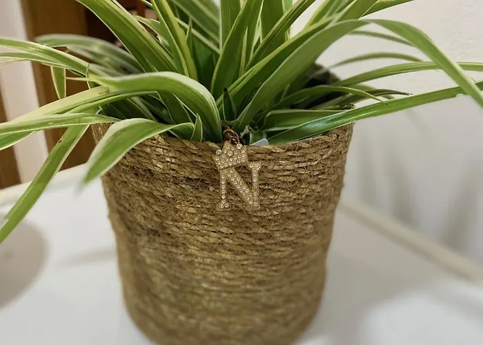 Appartamento Nikaia 1 Tirana